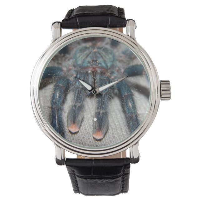 blauwe tarantula horloge (Voorkant)