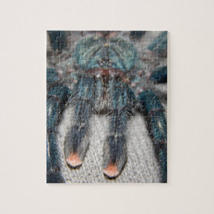 blauwe tarantula legpuzzel