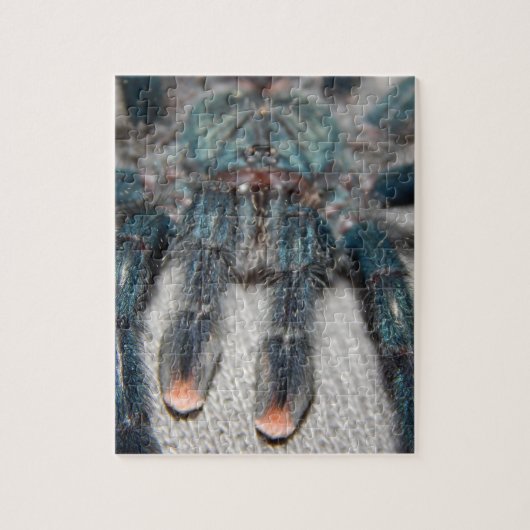 blauwe tarantula legpuzzel (Verticaal)