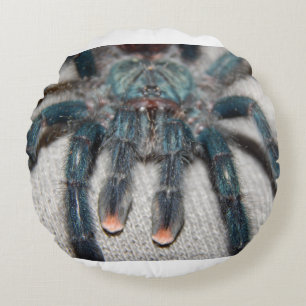 blauwe tarantula rond kussen