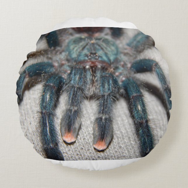 blauwe tarantula rond kussen (Voorkant)