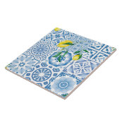 Blauwe tegels, mozaïek, majolica, tegeltje (Zijkant)