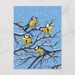 Blauwe tietvogels in de winter briefkaart