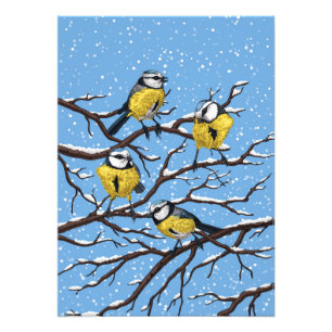 Blauwe tietvogels in de winter foto afdruk