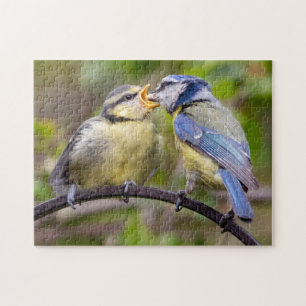 Blauwe tit met vingerbeweging puzzel