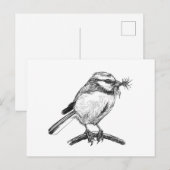 Blauwe tit vogel inkt tekening briefkaart (Voorkant / Achterkant)