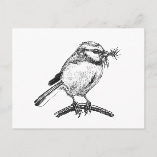Blauwe tit vogel inkt tekening briefkaart (Voorkant)