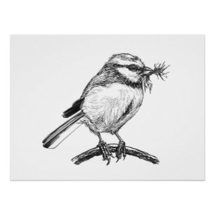 Blauwe tit vogel inkt tekening perfect poster