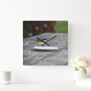 Blauwe Tit Vogel Voeding op Bord Vierkante Klok
