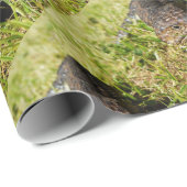 Blauwe tonghagedis in de gras, cadeaupapier (Rol Hoek)