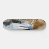 Blauwe tonghagedis skateboard (Horizontaal)