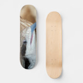 Blauwe tonghagedis skateboard (Voorkant)