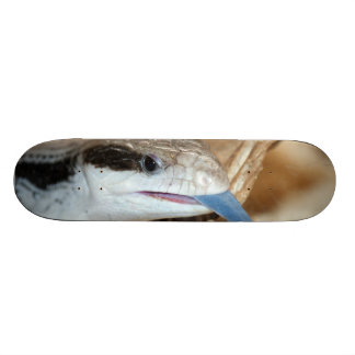 Blauwe tonghagedis skateboard
