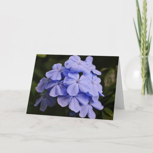 Blauwe Tropische Bloemen Noteer Kaart (Voorkant)