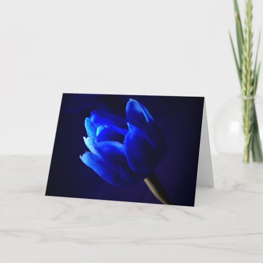 Blauwe tulp kaart (Voorkant)