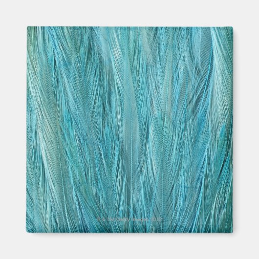 Blauwe veren magneet (Voorkant)