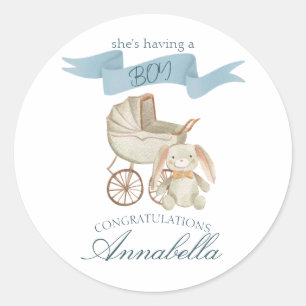Blauwe Vintage Babywagen en Konijn Baby JONGEN Ronde Sticker