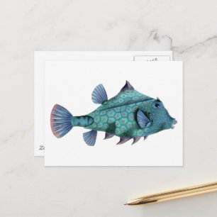 Blauwe Vintage Vis Briefkaart