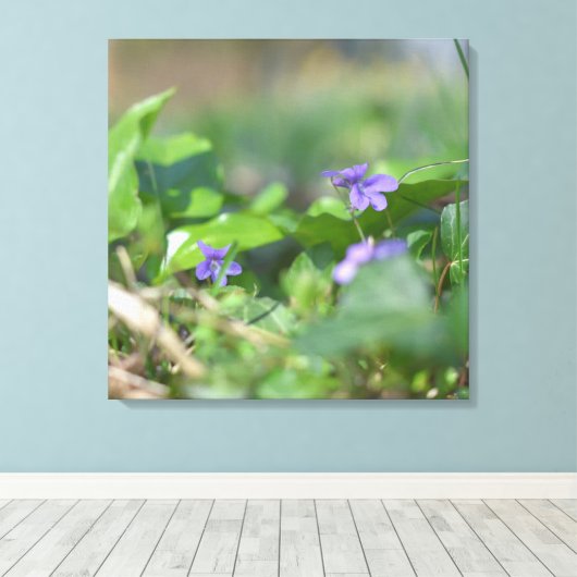 Blauwe Viooltjes Bloem Bloemisterij Botanische Fot Canvas Afdruk (Insitu (Houten vloer))