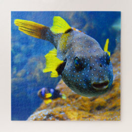 Blauwe vis, gele vinnen en geborsteld legpuzzel