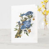 Blauwe Vlaamse gaai, John James Audubon Kaart (Gele Bloem)