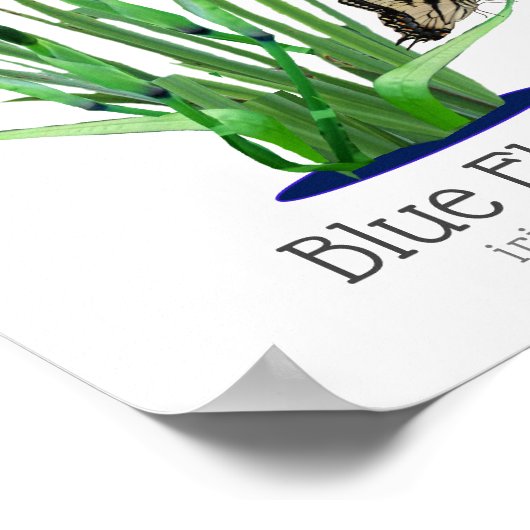 Blauwe vlag Iris en Swallowtail Butterflies Poster (Hoek)