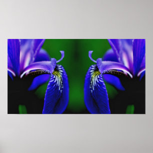 Blauwe Vlag Iris Flower Petal Mirror Abstract Poster