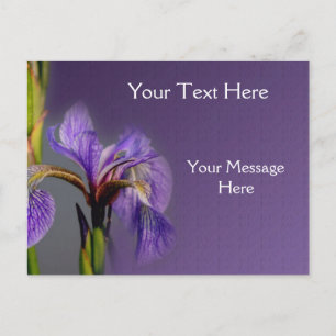 Blauwe vlag Iris-ventilator Briefkaart