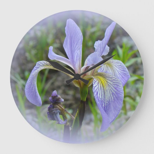 Blauwe vlag - Wild Iris Grote Klok (Voorkant)