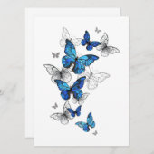 Blauwe Vliegende Vlinders Morpho Advieskaart (Voorkant / Achterkant)
