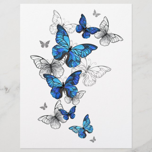 Blauwe Vliegende Vlinders Morpho Briefhoofd (Voorkant)