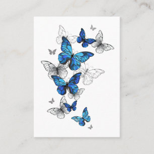 Blauwe Vliegende Vlinders Morpho Contactkaartje