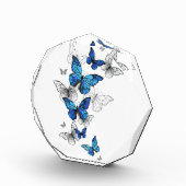 Blauwe Vliegende Vlinders Morpho Fotoblokken (Rechts)