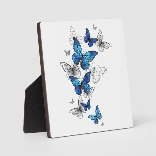 Blauwe Vliegende Vlinders Morpho Fotoplaat (Voorkant)
