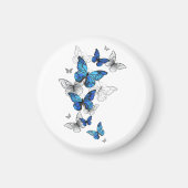 Blauwe Vliegende Vlinders Morpho Magneet (Voorkant)