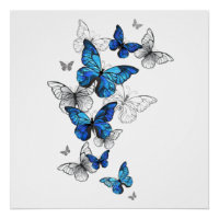 Blauwe Vliegende Vlinders Morpho