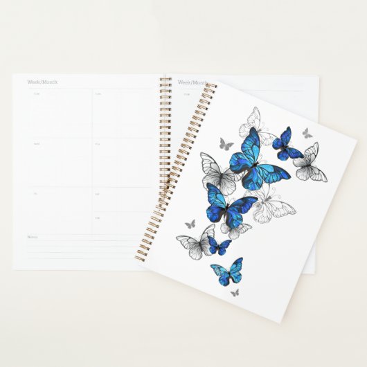 Blauwe Vliegende Vlinders Morpho Planner (Display)