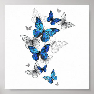 Blauwe Vliegende Vlinders Morpho Poster