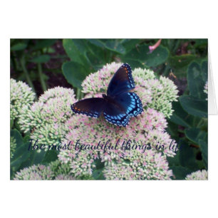 Blauwe vlinder