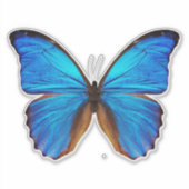 Blauwe vlinder 2 sticker (Voorkant)