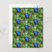 Blauwe vlinder briefkaart (Voorkant / Achterkant)