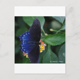 Blauwe vlinder briefkaart