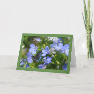 Blauwe vlinder in een Wenskaart van een blauwe tui Kaart