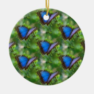 Blauwe vlinder keramisch ornament