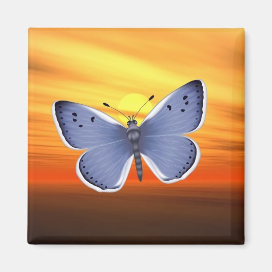 Blauwe vlinder magneet (Voorkant)