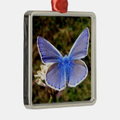 Blauwe vlinder metalen ornament (Rechts)