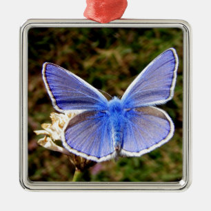 Blauwe vlinder metalen ornament
