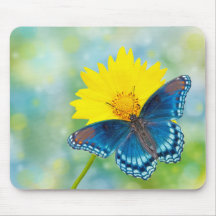Blauwe vlinder