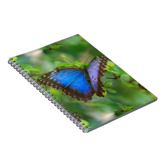 Blauwe vlinder notitieboek (Rechterzijde)