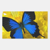 Blauwe vlinder op daffodis rechthoekige sticker (Voorkant)
